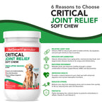 Dog Joint Support Chews for Daily Mobility Care, 90-Day Bottle for Adult Dogs and Active Senior Companions source image 4