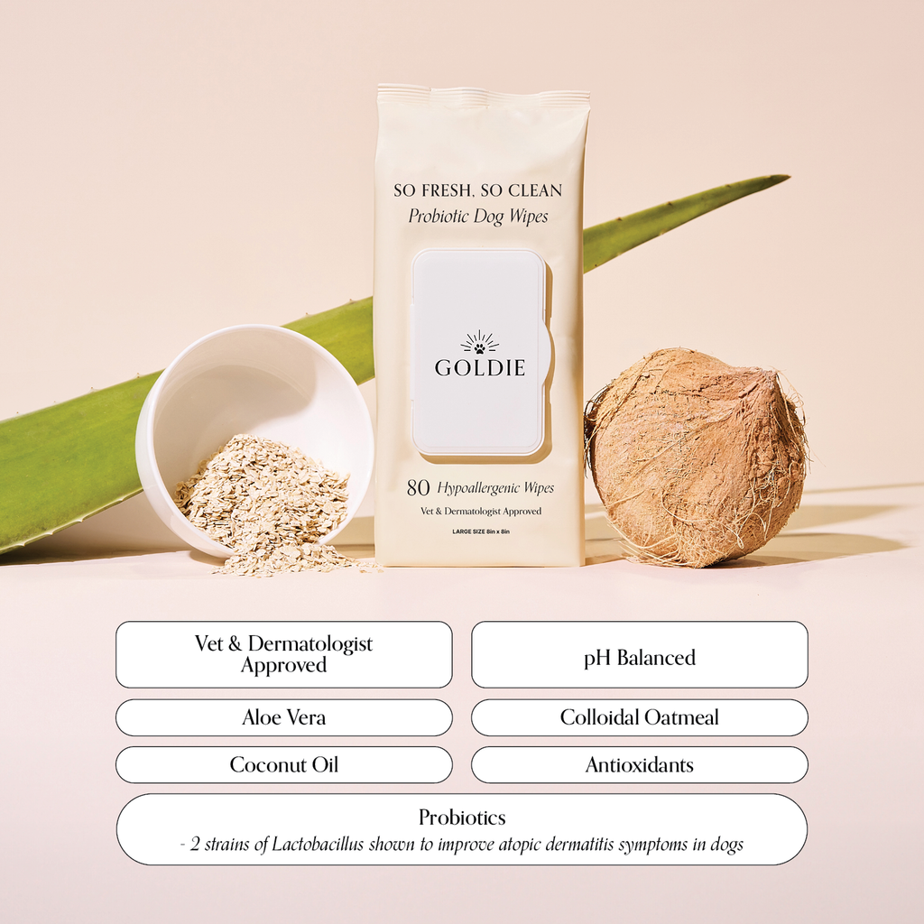 Dog Clean and Calm Care Set product image 4
