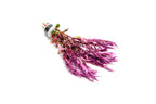 Red Rotala Aquarium Stem Plant product image 4