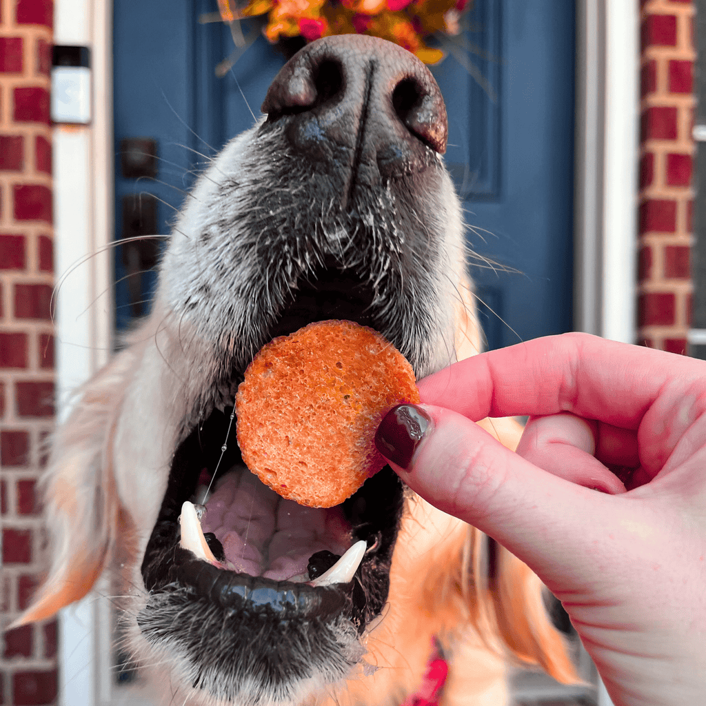 Turkey Breast Chip Pet Treats product image 4
