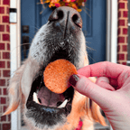 Turkey Breast Chip Pet Treats product image 4