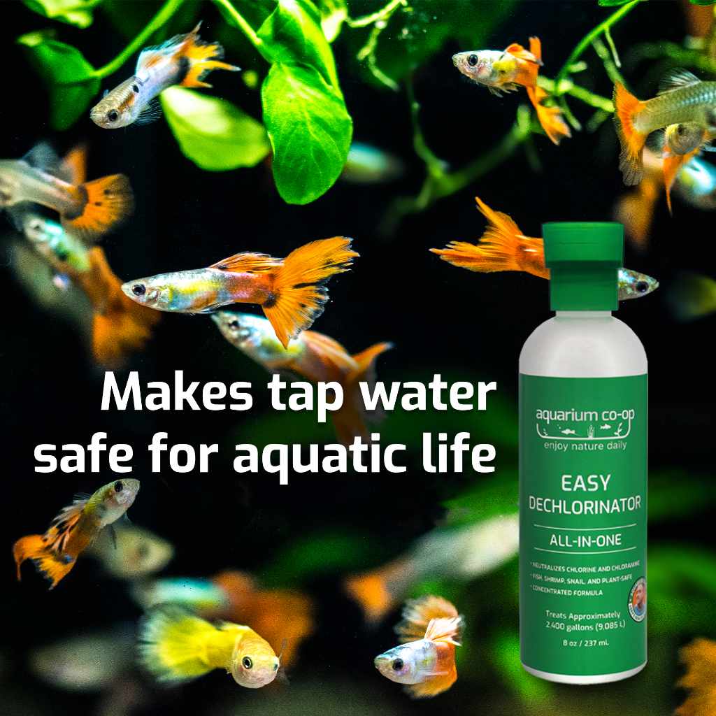 Aquarium Water Conditioner and Dechlorinator product image 4