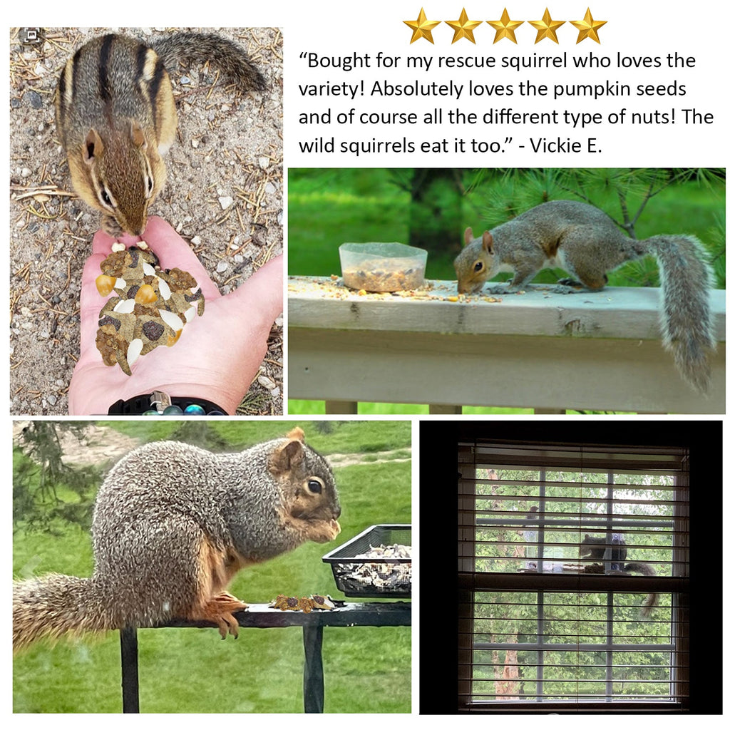 Complete Squirrel Food product image 4