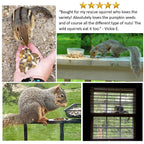 Complete Squirrel Food product image 4