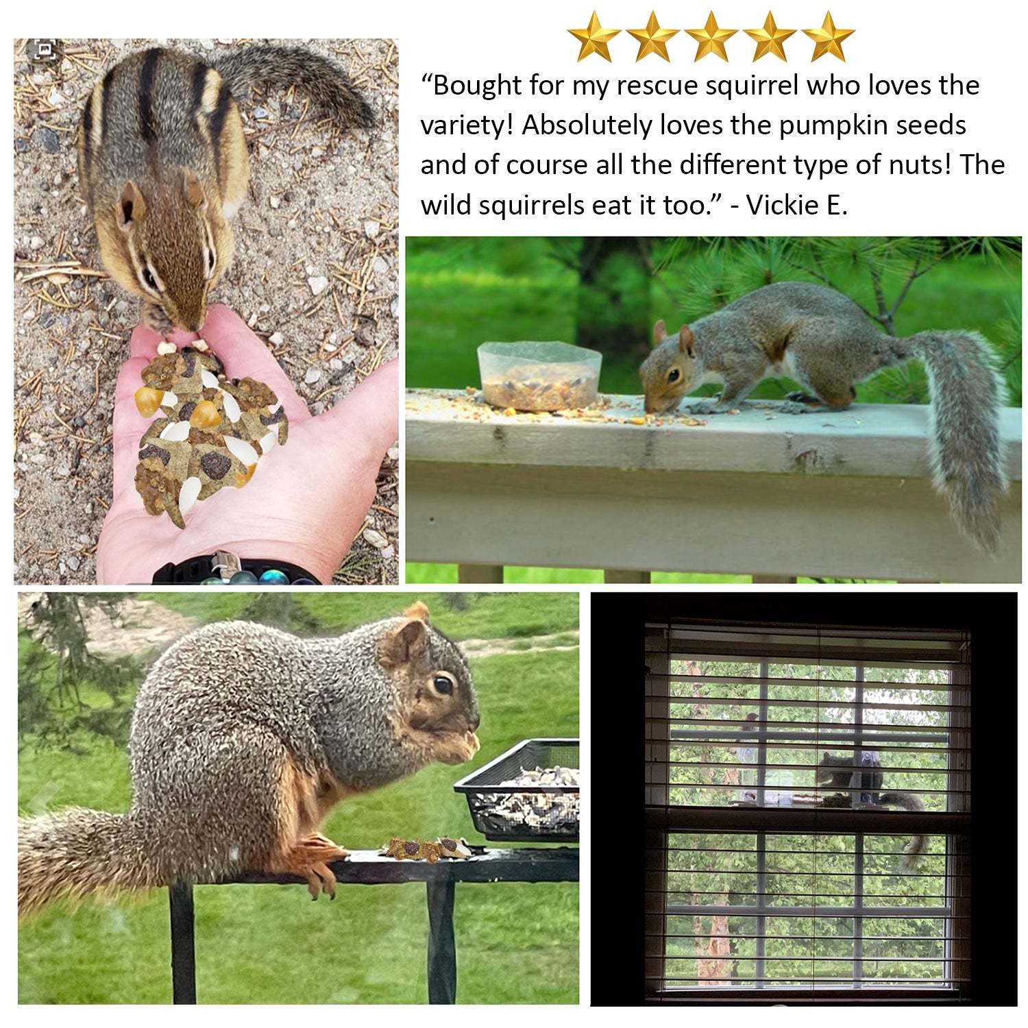 Complete Squirrel Food product image 4