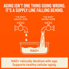 Liquid Dog Wellness Supplement product image 4