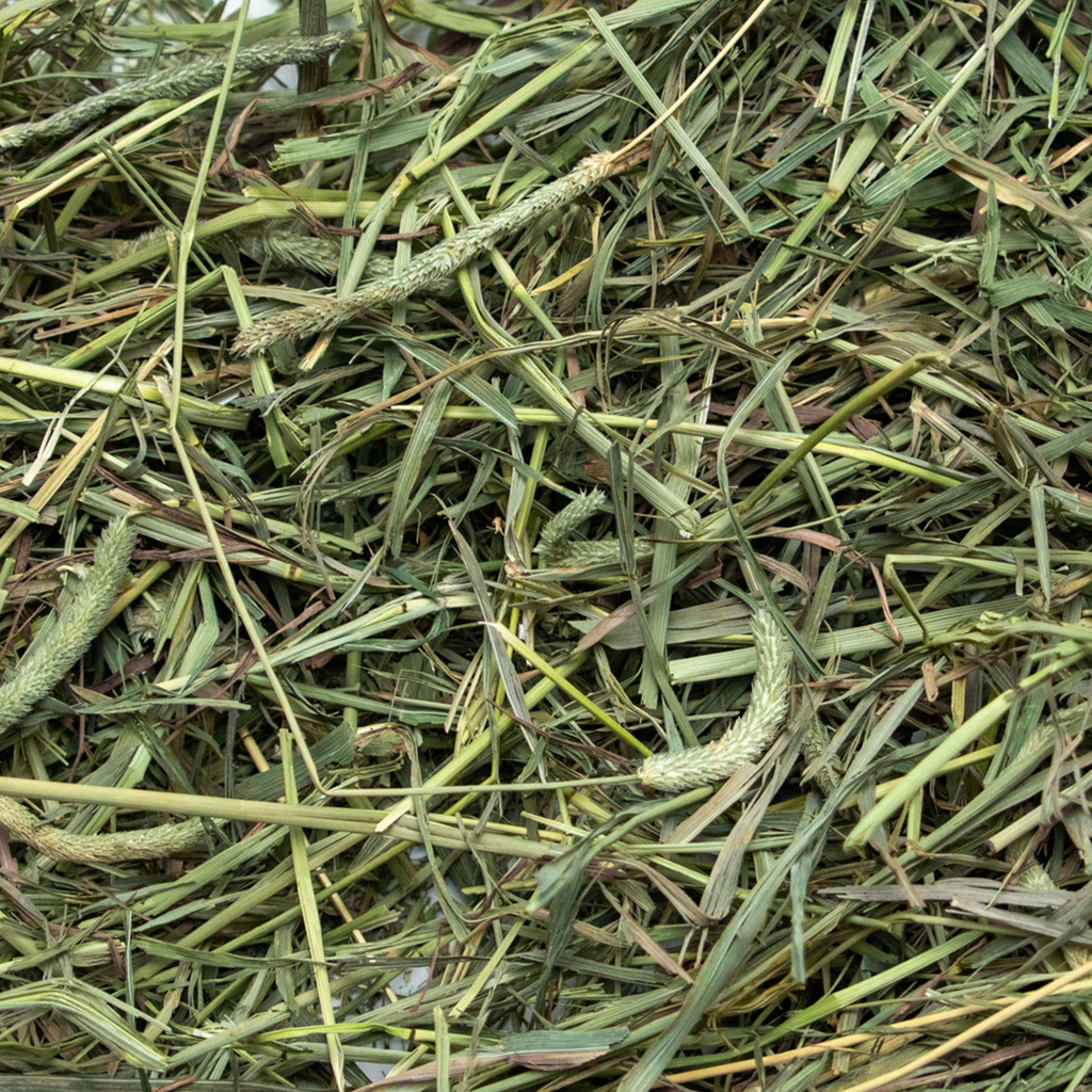 Medium Timothy Hay product image 4
