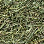 Medium Timothy Hay product image 4
