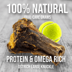 Large Ostrich Knuckle Dog Chew product image 4