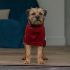 Rosehip Cotton Dog Drying Coat product image 4
