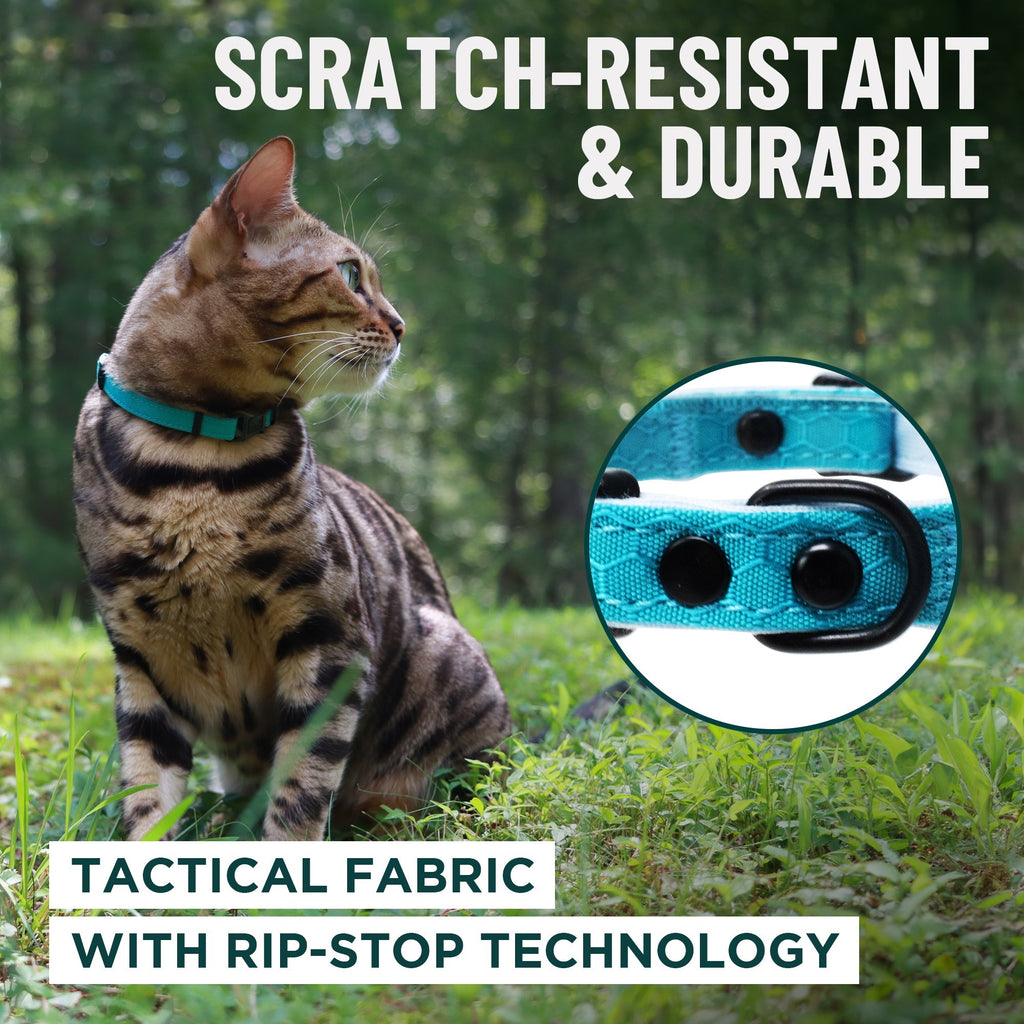 Breakaway Cat Collar product image 4