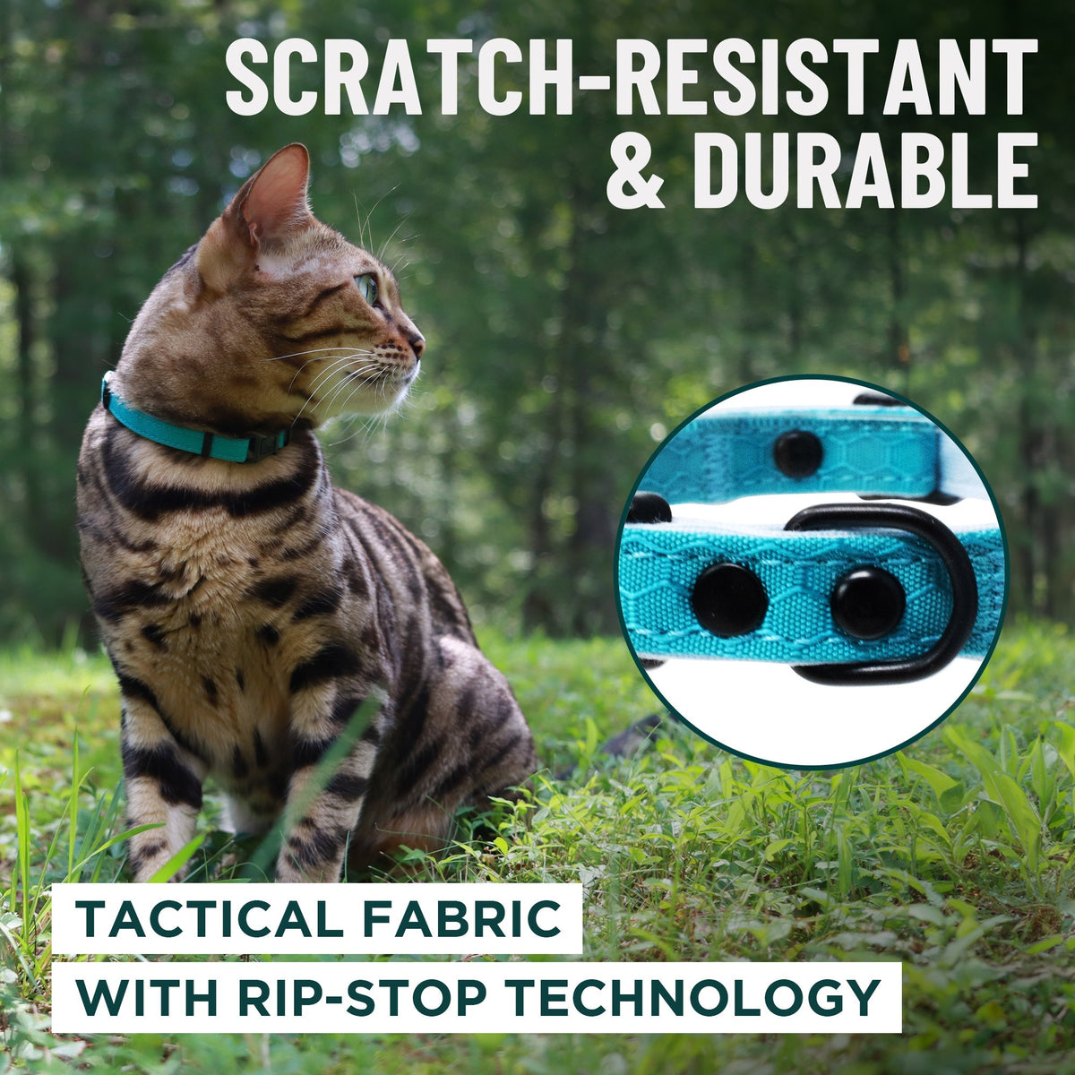 Breakaway Cat Collar product image 4