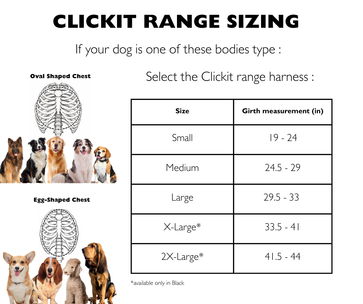 Crash-Tested Dog Car Safety Harness product image 4