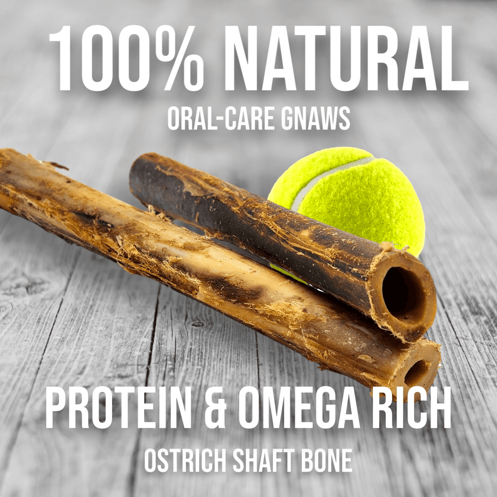 Ostrich Shaft Bone Dog Chew product image 4