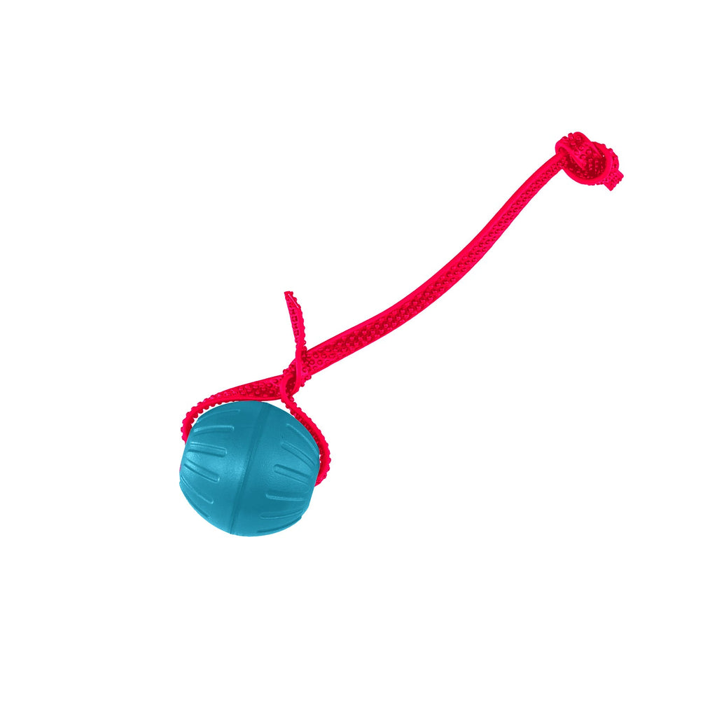 Replacement BioThane Dog Ball Strap product image 4