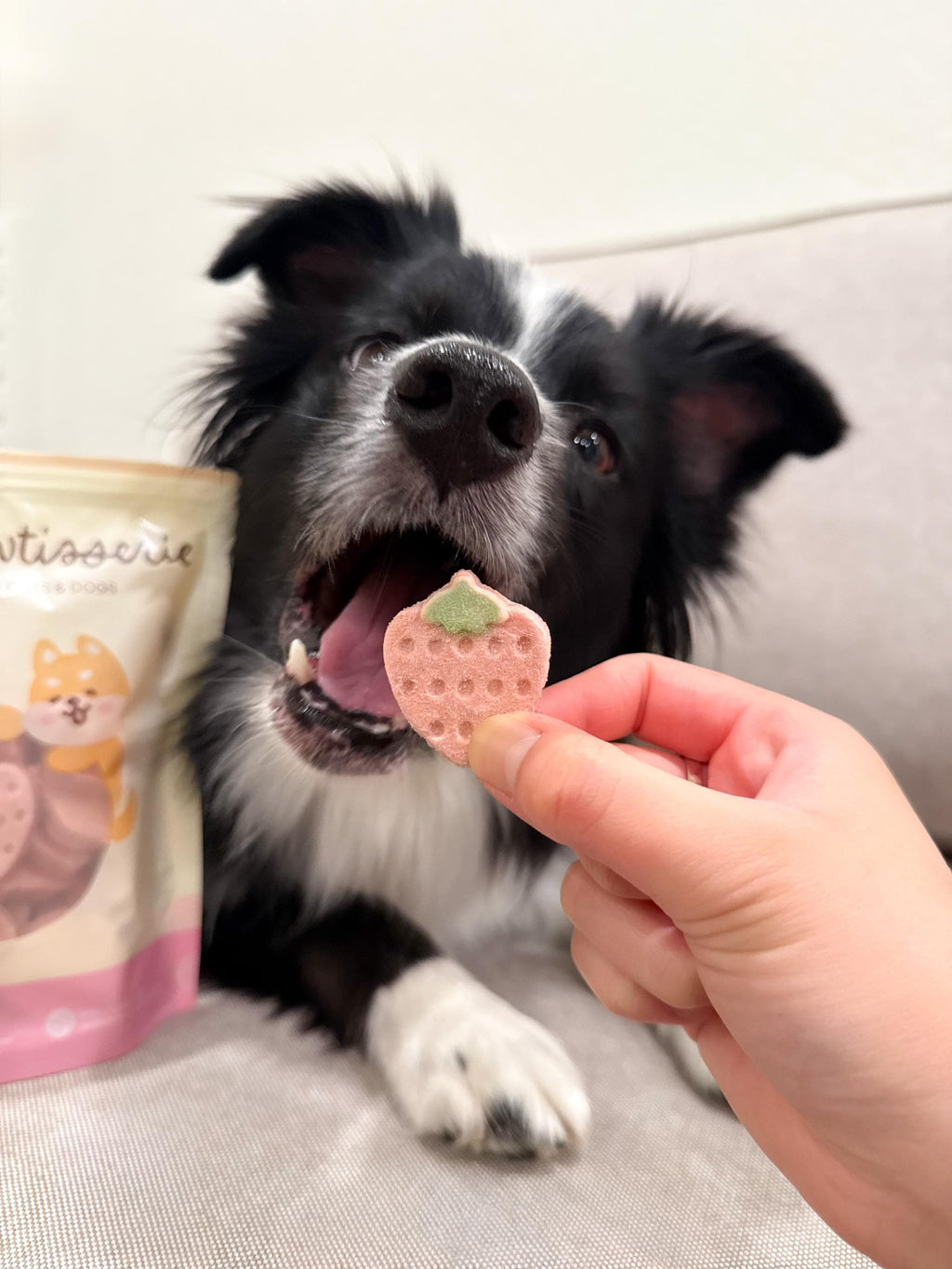 Freeze-Dried Strawberry Yogurt Pet Treats product image 4