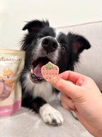 Freeze-Dried Strawberry Yogurt Pet Treats product image 4