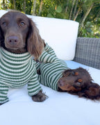 Striped Knit Dog Onesie product image 4