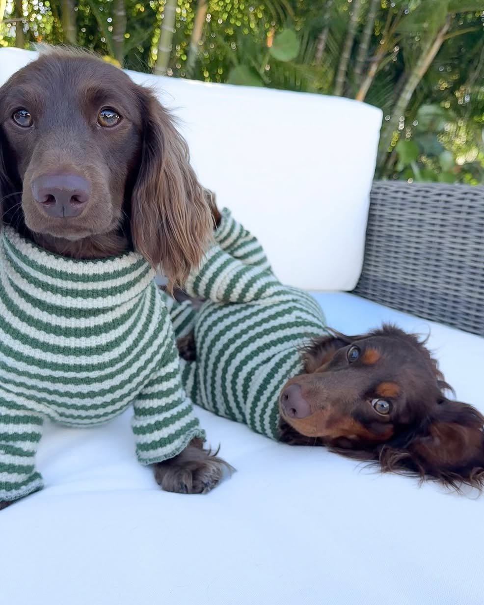 Striped Knit Dog Onesie product image 4