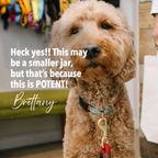 Bovine Colostrum Powder for Dogs product image 4
