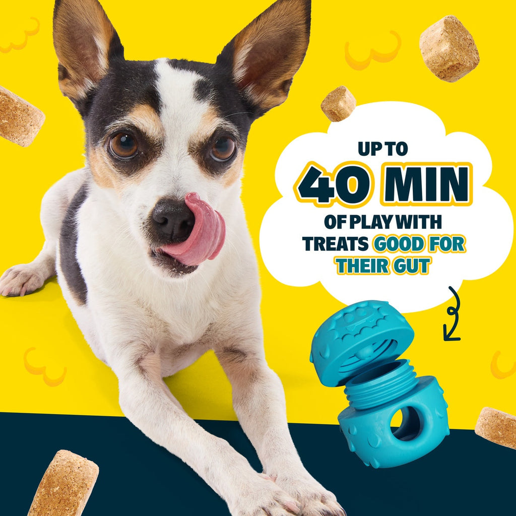 Dog Treat-Dispensing Toy Starter Kit product image 4