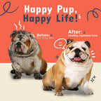 Oatmeal Pet Shampoo product image 4