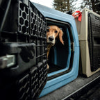 Dog Travel Kennel product image 4