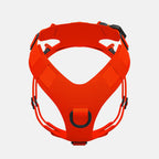 Crash-Tested Dog Travel and Trail Harness product image 4