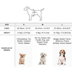 Breathable Step-In Dog Harness product image 4