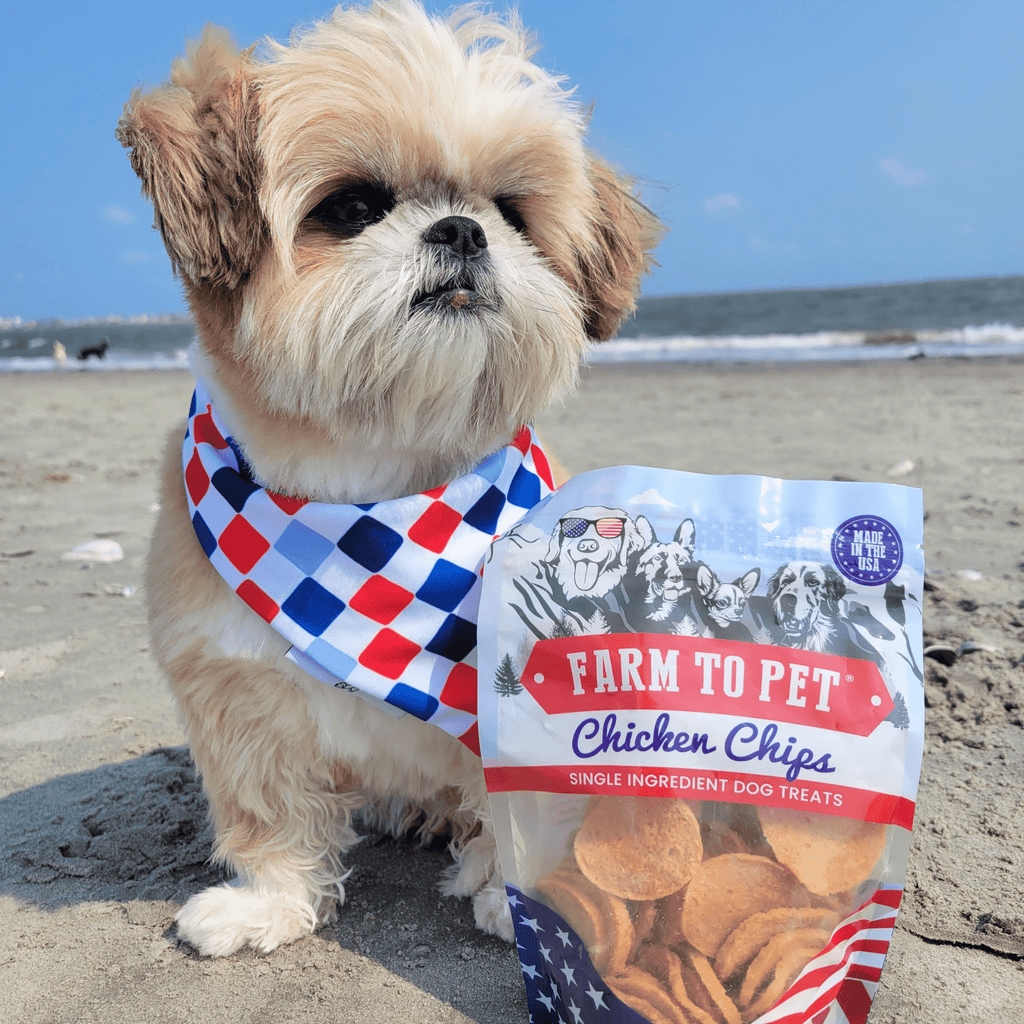 Chicken Chip Dog Treats product image 3
