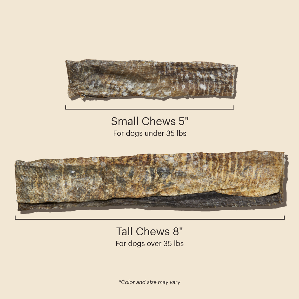 Ocean Chews Natural Rawhide Alternative Dog Treat from The Honest Kitchen