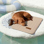 Dog Cooling Mat product image 4