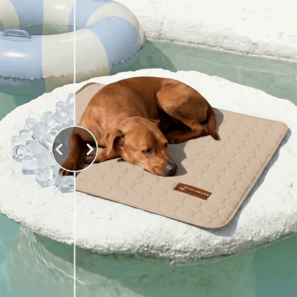 Dog Cooling Mat product image 4