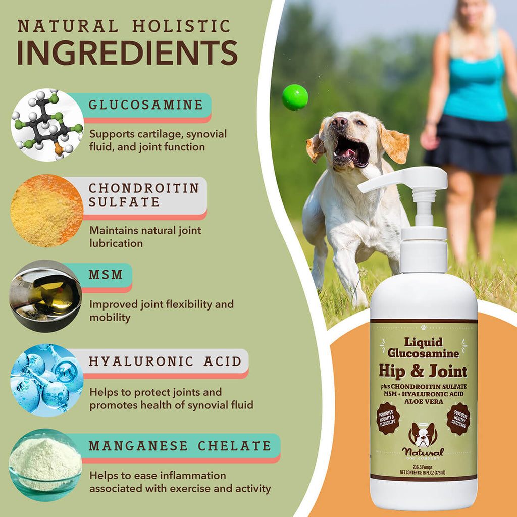 Liquid Dog Joint Supplement product image 4