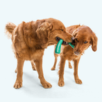 Floating Dog Tug Toy product image 4