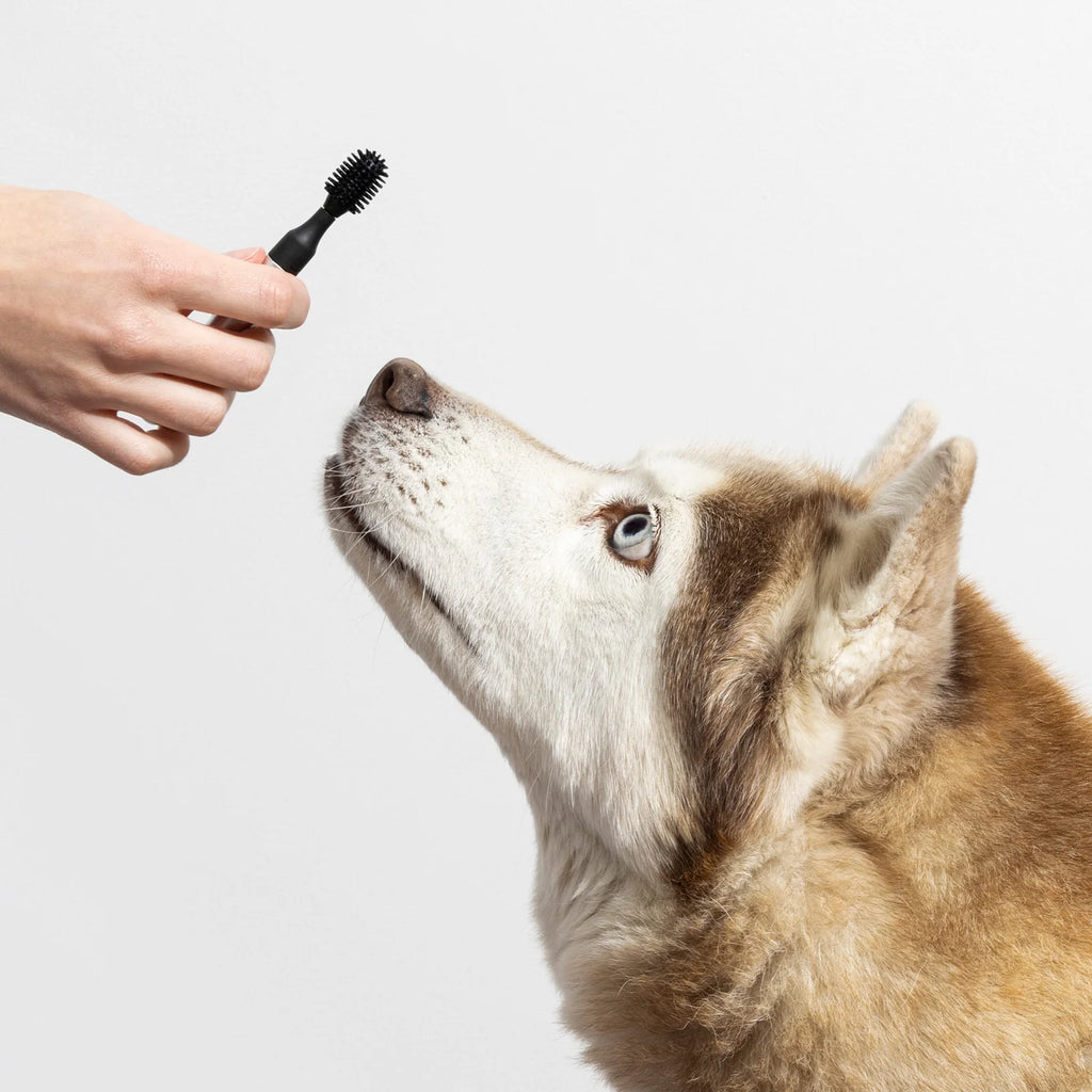 Dog Toothbrush product image 4