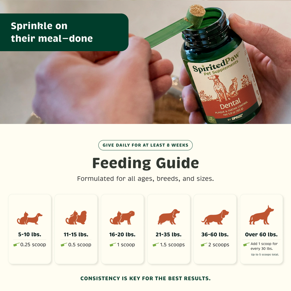 Dog and Cat Dental Powder product image 4