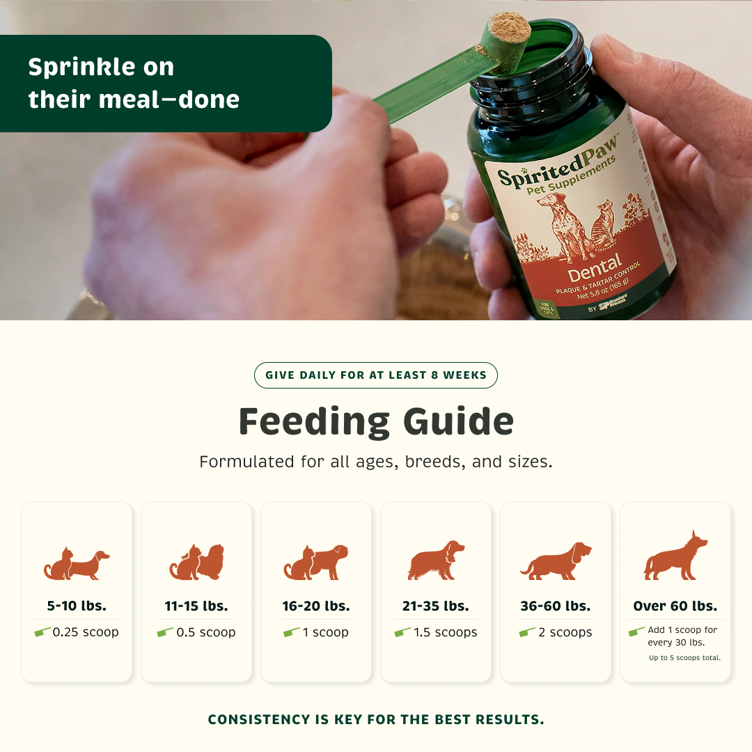 Dog and Cat Dental Powder product image 4