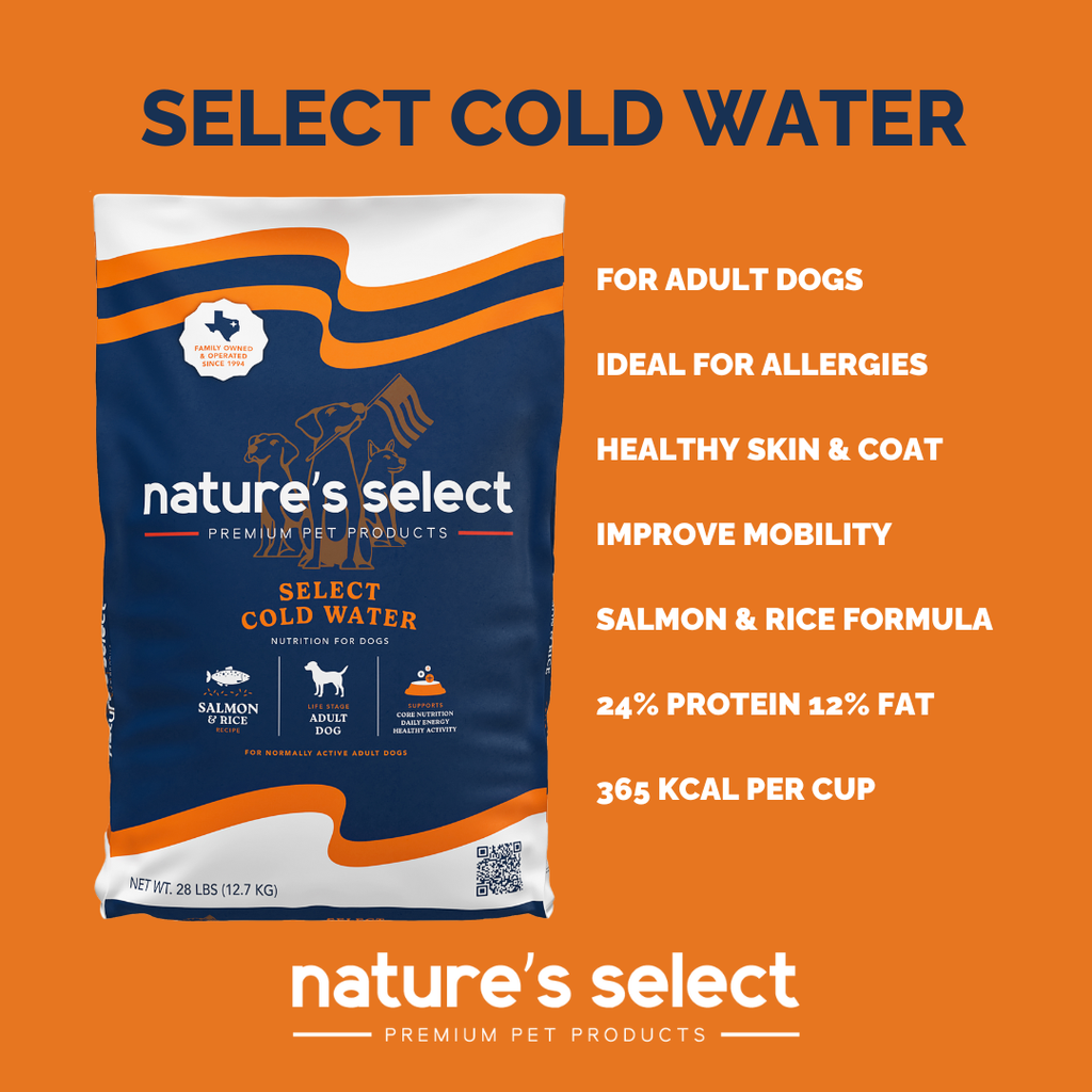 Dry Dog Food product image 4