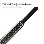 Dog Collar product image 4