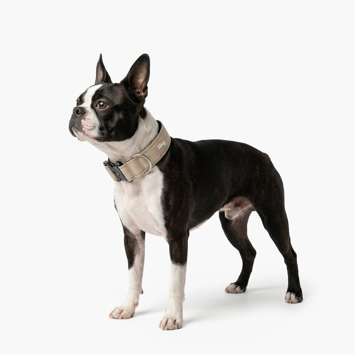 Tactical Dog Collar product image 4
