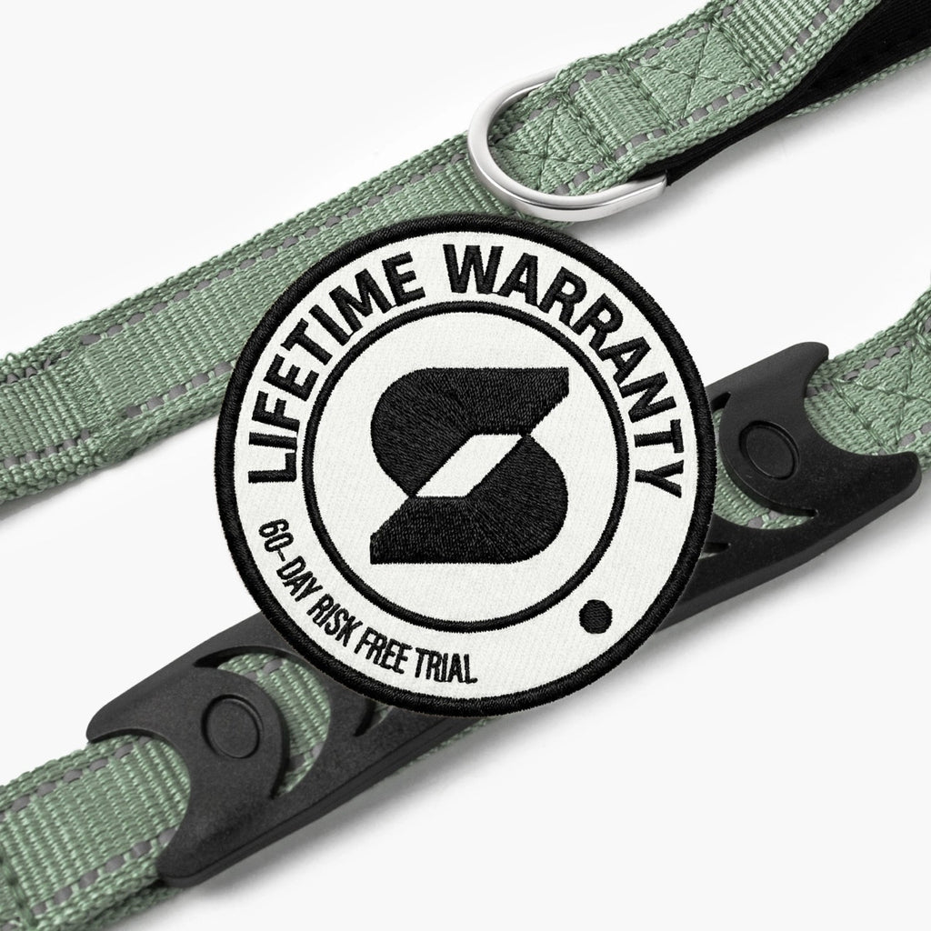 Dog Leash product image 4