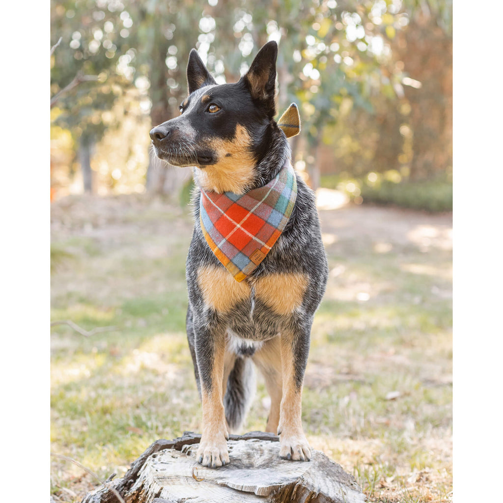 Dog Bandana product image 4
