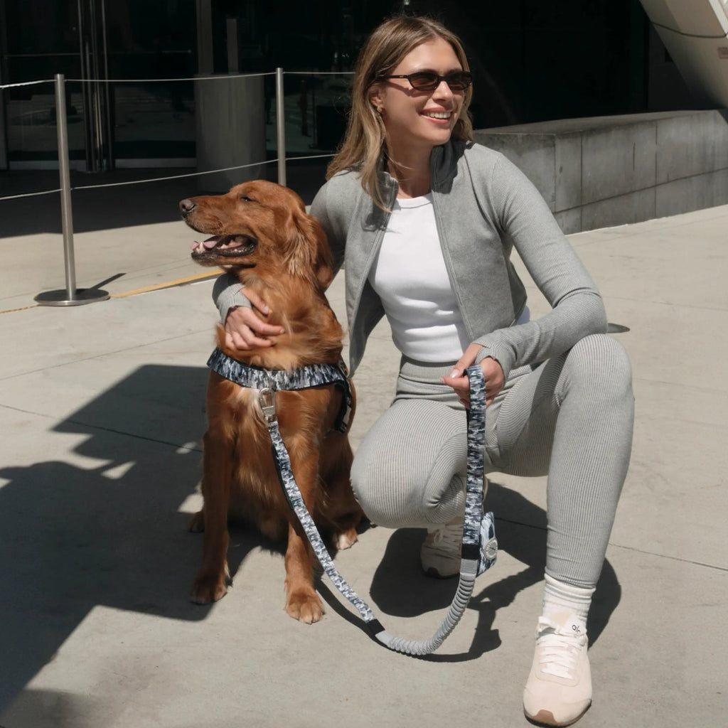 Bungee Dog Leash product image 4