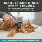 Dual-Sided Pet Dematting and Deshedding Brush product image 4