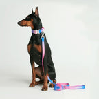 Tactical Dog Collar and Leash Set product image 4