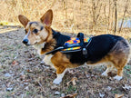 Dog Harness product image 4