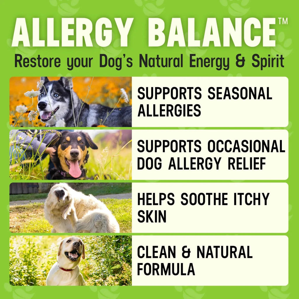 Dog Allergy Supplement product image 4