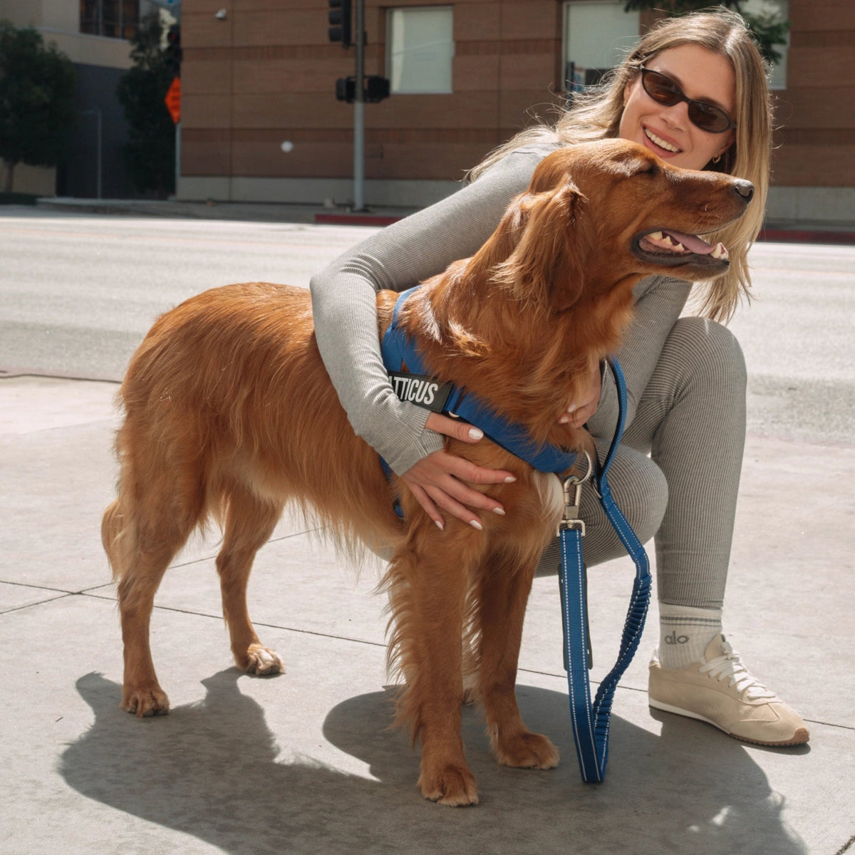 Bungee Dog Leash product image 4