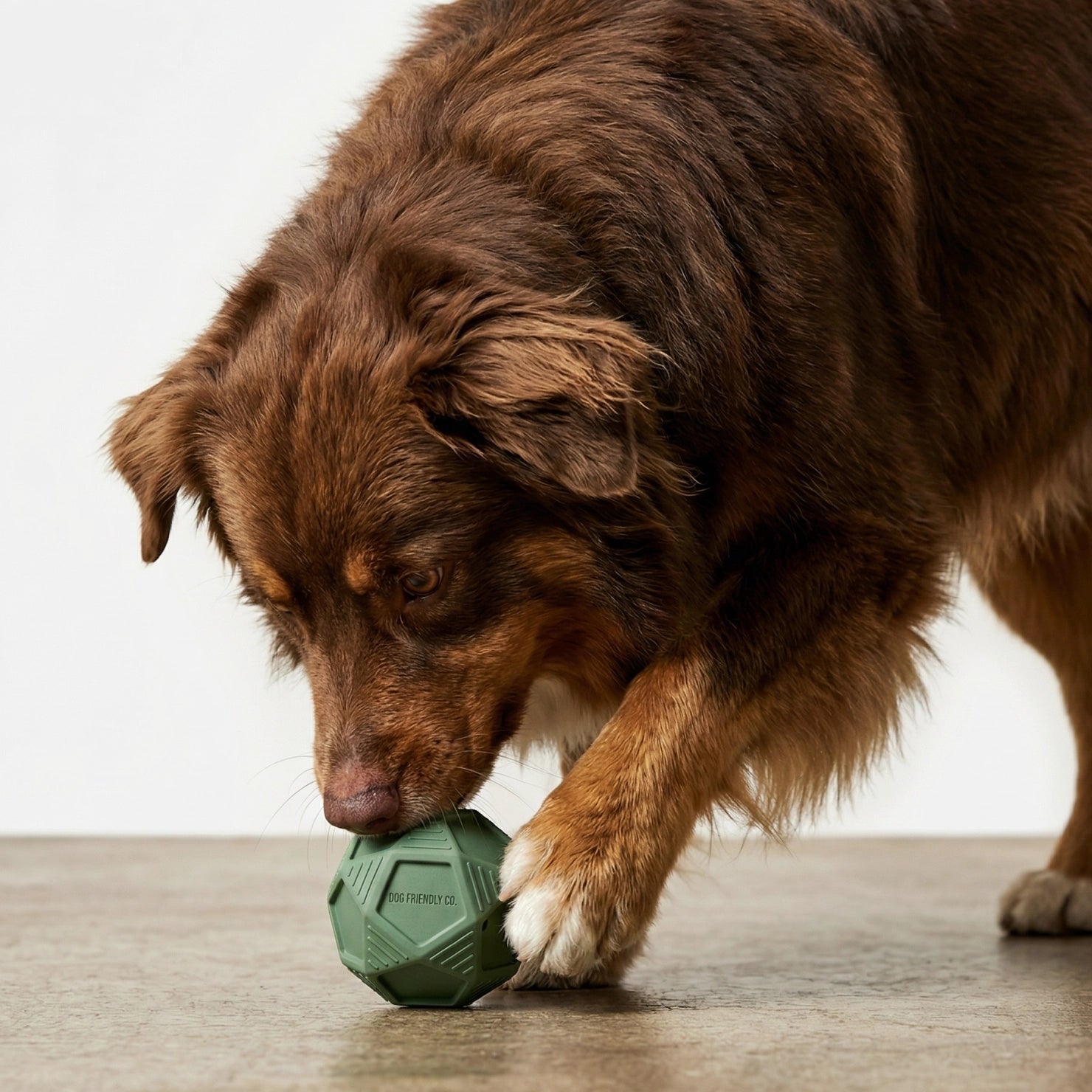 Treat-Dispensing Dog Ball product image 4